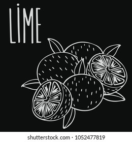 Isolate ripe lime fruit as chalk on blackboard. Close up clipart in chalkboard style. Hand drawn icon. Vector illustration