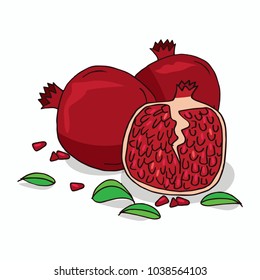 Isolate ripe pomegranate fruit on white background. Close up clipart with shadow in flat realistic cartoon style. Hand drawn icon. Vector illustration