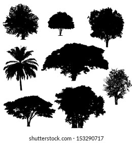 isolate silhouette tree 