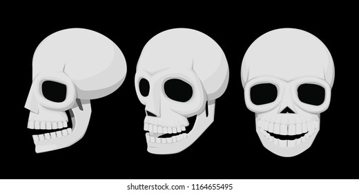 Isolate skull on transparent background