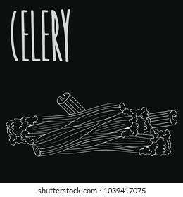 Isolate spices celery stalks as chalk on blackboard. Close up clipart in chalkboard style. Hand drawn icon. Vector illustration