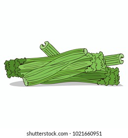 Isolate spices celery stalks on white background. Close up clipart with shadow in flat realistic cartoon style. Hand drawn icon. Vector illustration