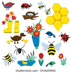 Isolate spring elements on the white background