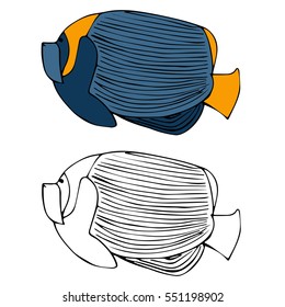 isolate vector art colorful blue and yellow and black contour angel fish on white background