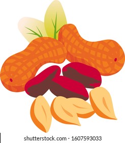 Isolate vector illustration of peanuts. Shell and kernel. Suit for Peanut butter label