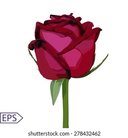 Isolate vintage rose flower vector illustration. Eps