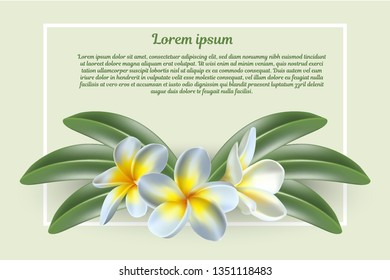 Isolated 3d realistic vector icon exotic   frangipani flower and leaves with text space.