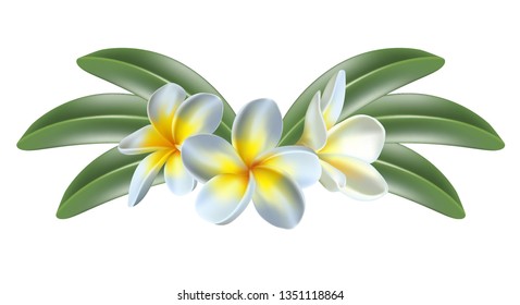 Isolated 3d realistic vector icon exotic   frangipani flower and leaves.