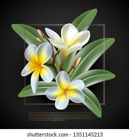 Isolated 3d realistic vector icon exotic   frangipani flower on the black background for you spa or catalogue.