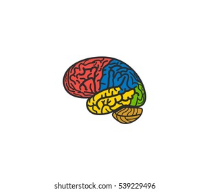 Isolated abstract colorful brain logo. Human cerebral hemisphere on white background logotype