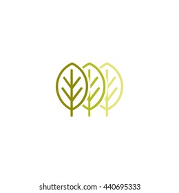 Isolated abstract green color leaves contour vector logo. Unusual trees illustration. Natural elements sign. Organic products symbol. 
