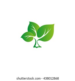 Isolated abstract green color tree vector logo. Leaves on a strong trunk of a plant. Organic products illustration.