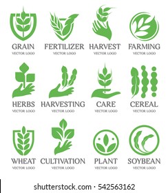 Isolated abstract green color wheat ear logo collection. Nature element logotype set. Leaf in human hand icon. Agricultural organic products signs. Harvesting vector illustration