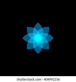 Isolated abstract star colorful logo. Color flower lotus vector logotype. Gladiolus daffodil organic nature icon. Agricultural transparent effect stylized.