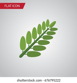 Isolated Acacia Leaf Flat Icon. Leaves Vector Element Can Be Used For Acacia, Leaf, Leaves Design Concept.