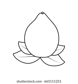 isolated acid lemon