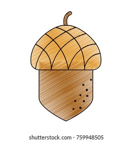 Isolated acorn design