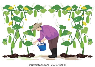 isolated agriculturist manure into cucumber plant on white background vector design