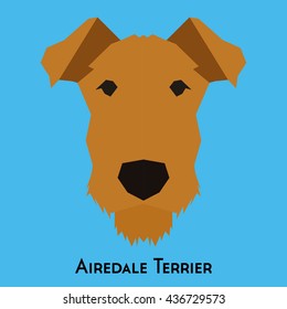 Isolated Airedale Terrier on a blue background