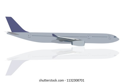 Isolated airplane with two engines in gray color with purple tail (plane,areoplane) in vector file-ready to use