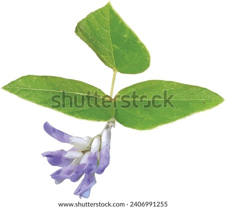 Similar – Image, Stock Photo Clematis cutout flowery