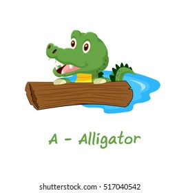 Isolated animal alphabet for the kids,A for Alligator