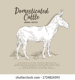 Isolated animal cattle vector drawing illustration.A standing donkey posing outline sketch.
