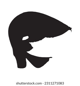 Isolated Animal Vector Arowana on White Background