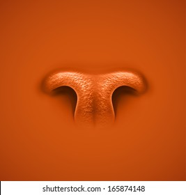 Isolated animal's nose. Illustration contains transparency and blending effects, eps 10