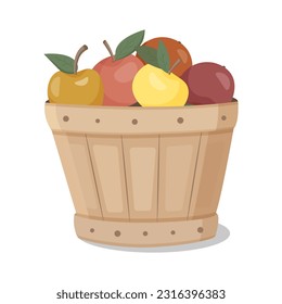 Isolated apples fruit box. Busket with fruits. Vector design