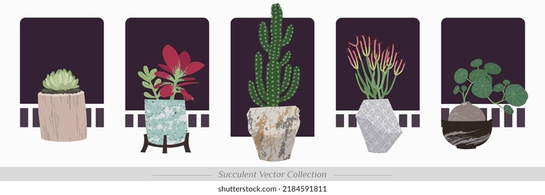 Isolated artistic potted cactus and houseplant vector illustration set on night balcony background. Home decor succulent vases with exotic patterns. Editable graphic collection.