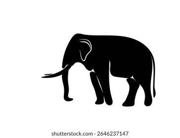 Isolated Asian male elephant shadow on white background. Vector illustration.