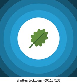 Isolated Aspen Flat Icon. Alder Vector Element Can Be Used For Oak, Alder, Leaf Design Concept.
