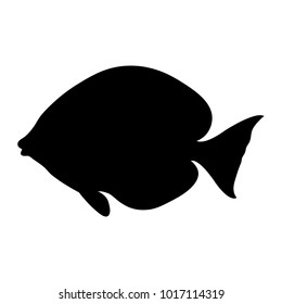 Isolated "Atlantic Blue Tang" fish (or Blue Doctorfish, Acanthurus Coeruleus) black silhouette - Eps10 vector graphics and illustration