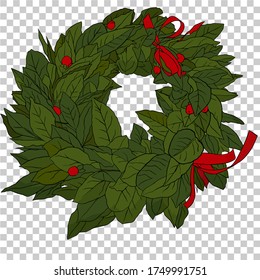 Isolated aurel wreath vector illustration for italian graduation, green leaves with red ribbon