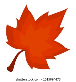 Isolated autum leaf on aw hite background - Vector