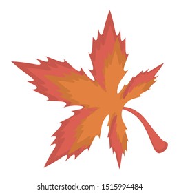 Isolated autum leaf on aw hite background - Vector