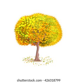 Isolated autumn deciduous tree with yellow leaves. Cartoon style. Vector illustration.