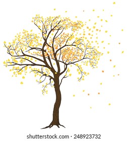 Isolated autumn fall tree and foliage illustration with detailed drawing bark for large wide-format printing