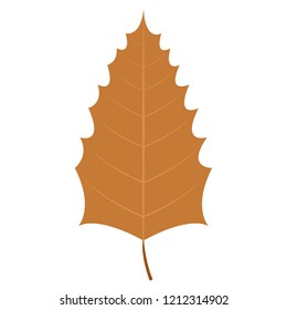 Isolated autumn leaf image. Vector illustration design