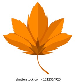 Isolated autumn leaf image. Vector illustration design
