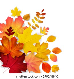 Isolated autumn leaves, vector illustration