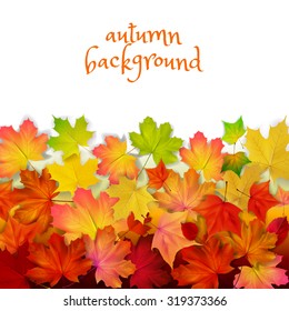 Isolated autumn leaves, wall, vector illustration