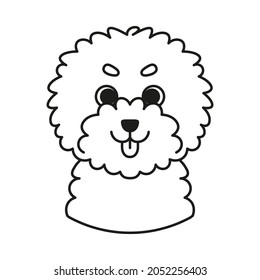 Isolated avatar of a french poodle dog breed Vector illustration