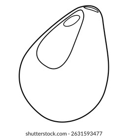 Isolated Avocado flat illustration. outline whole fruit or vegetables, half, slices, with a large seed. Food for a healthy diet.