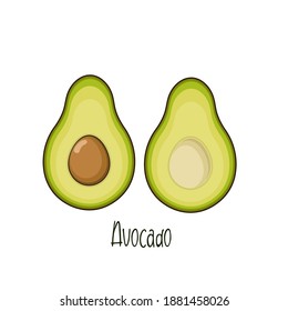 isolated avocado fruit vector, avocado illustration cartoon style