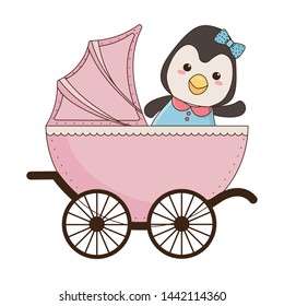 Isolated baby penguin cartoon design