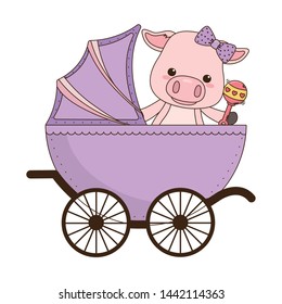 Isolated baby pig cartoon design