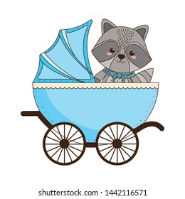 Isolated baby raccoon cartoon design