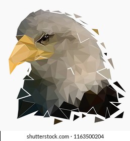 Isolated bald eagle on white background,Low poly head of falcon,Vector illustration